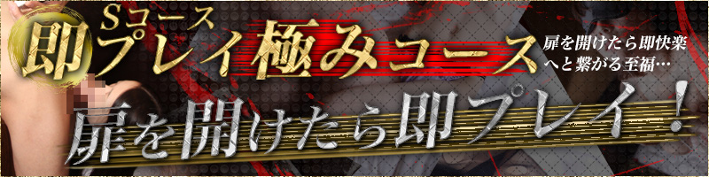 即プレイの極みコース(Sコース)